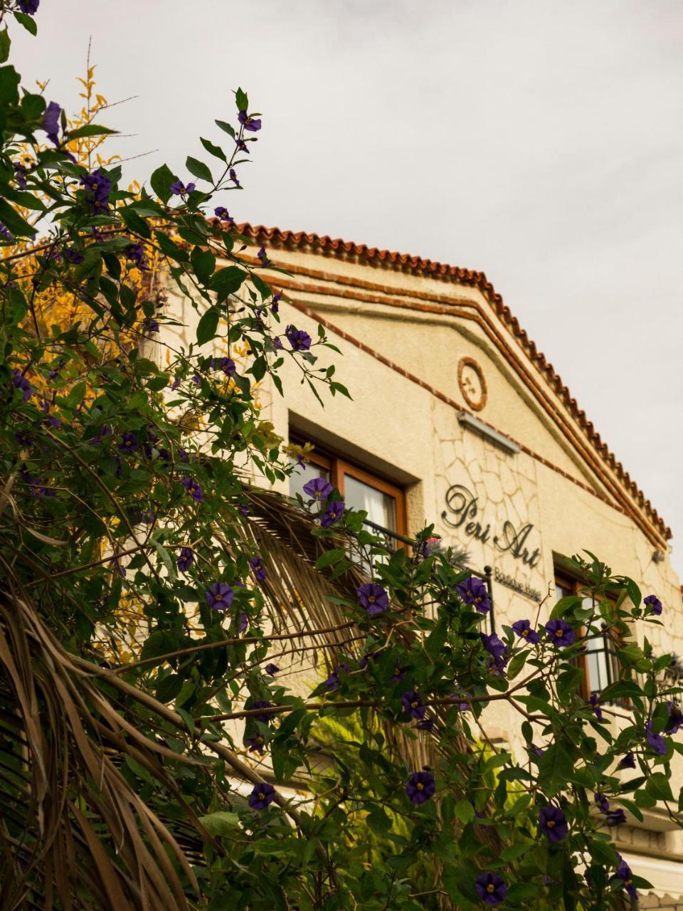 Peri Art Hotel ألاتشاتي المظهر الخارجي الصورة